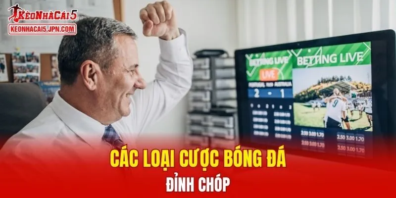 Các loại cược bóng đá đỉnh chóp