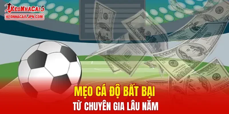 Mẹo cá độ bất bại từ chuyên gia lâu năm