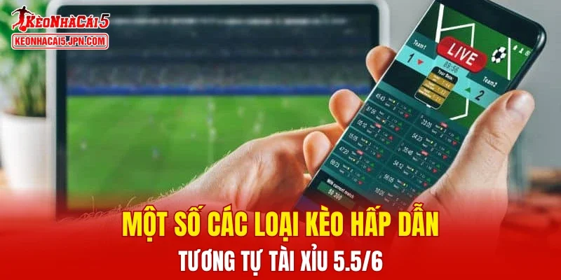 Một số các loại kèo hấp dẫn tương tự Tài Xỉu 5.5/6