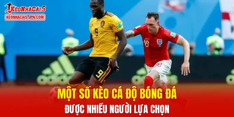 Một số kèo cá độ bóng đá được nhiều người lựa chọn