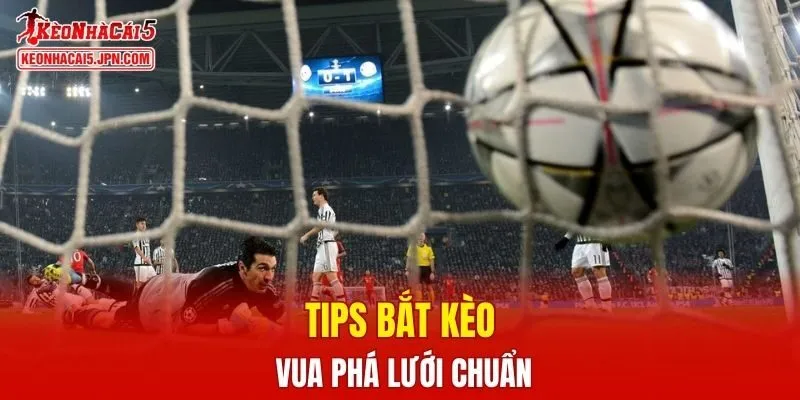 Tips bắt kèo vua phá lưới chuẩn