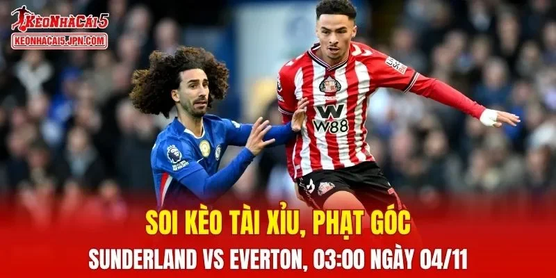 Trận đấu giữa Sunderland và Everton đang hứa hẹn sẽ bùng nổ