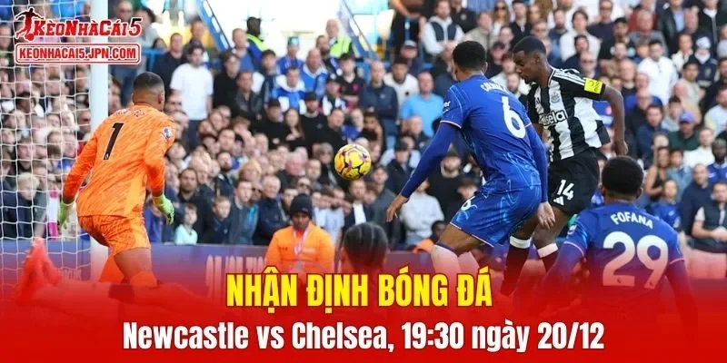 Cuộc đối đầu Newcastle vs Chelsea hứa hẹn mang đến màn so tài căng thẳng