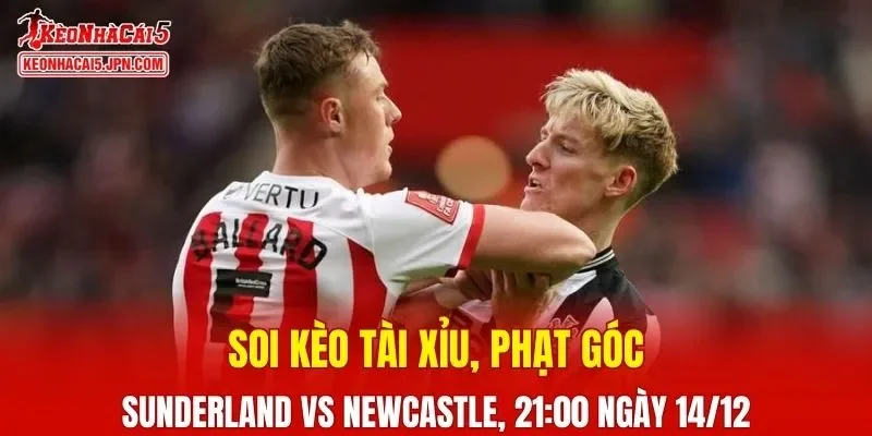 Cuộc đụng độ giữa Sunderland vs Newcastle được dự đoán sẽ vô cùng nóng bỏng