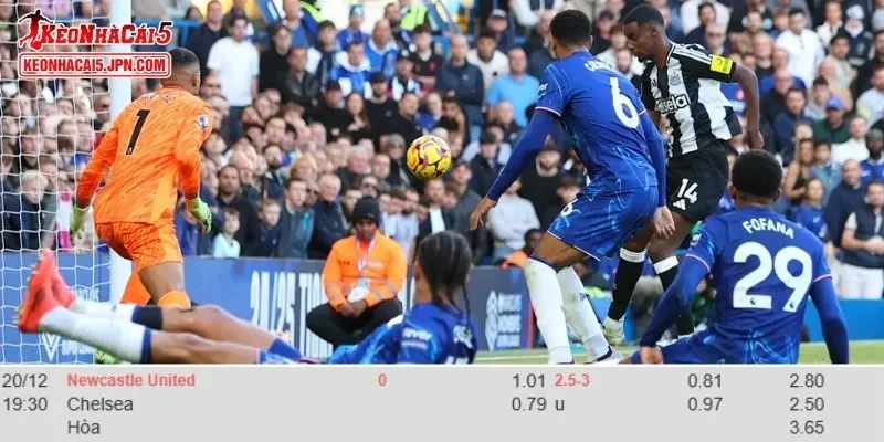 Dữ liệu tỷ lệ kèo toàn diện cho trận đấu Newcastle vs Chelsea
