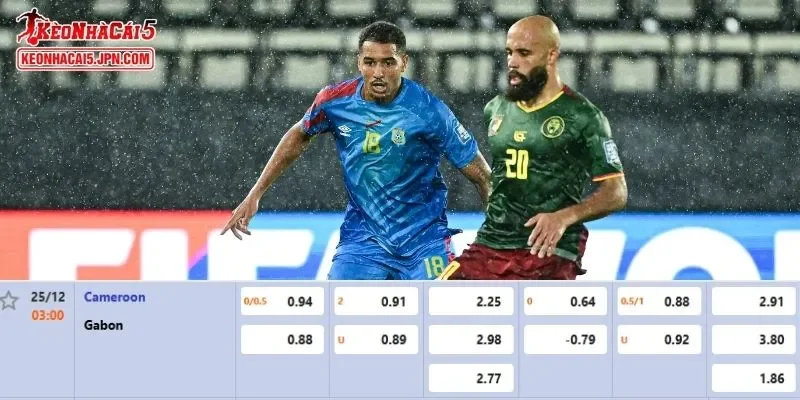 Tỷ lệ kèo chi tiết của của trận Cameroon vs Gabon