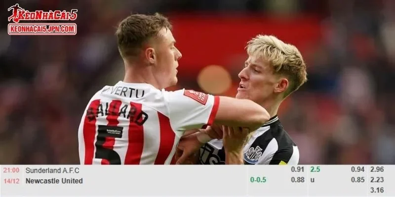 Tỷ lệ kèo chi tiết của của trận Sunderland vs Newcastle