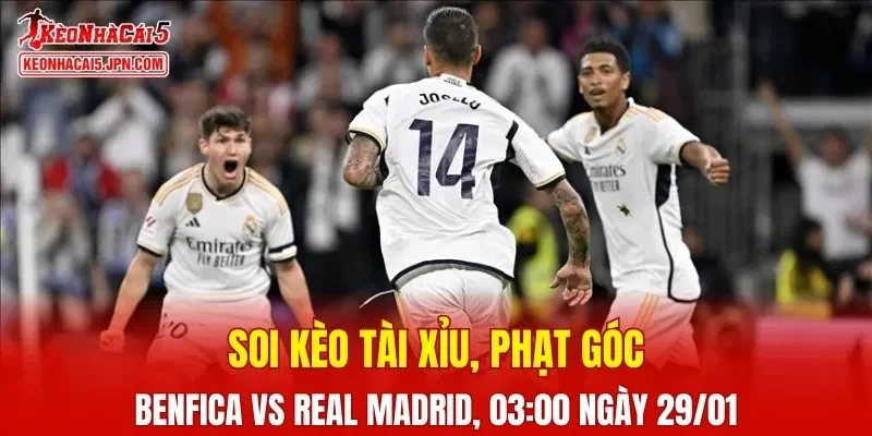 Cuộc đối đầu giữa Benfica và Real Madrid hứa hẹn mang đến những khoảnh khắc đầy kịch tính 