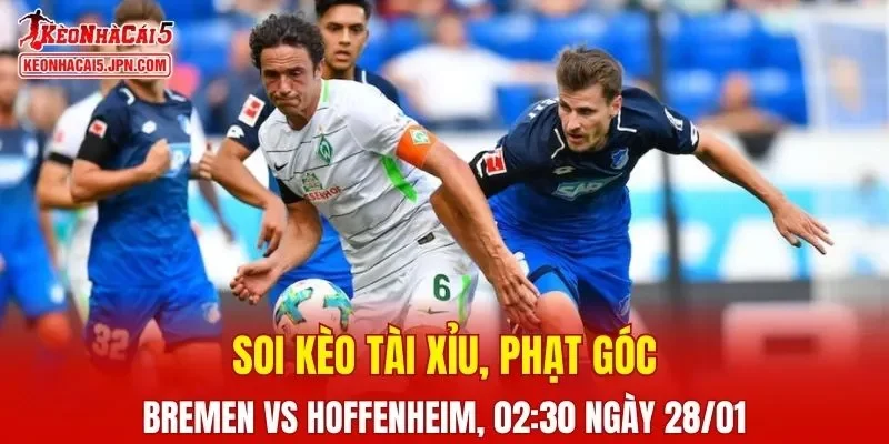 Cuộc đối đầu giữa Bremen và Hoffenheim đang chứa đựng nhiều kịch tính 