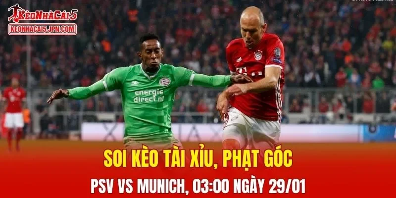 Cuộc đối đầu giữa PSV và Bayern Munich hứa hẹn sẽ mang đến nhiều điều thú vị