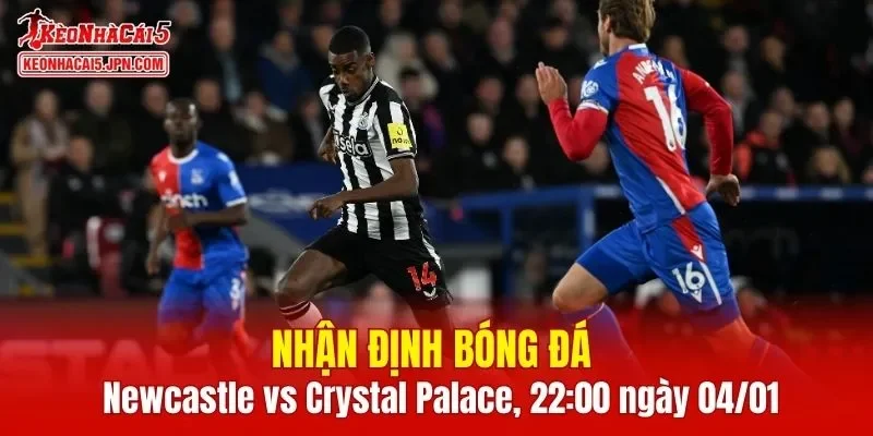 Cuộc so tài Newcastle vs Crystal Palace hứa hẹn mang đến nhiều điều thú vị
