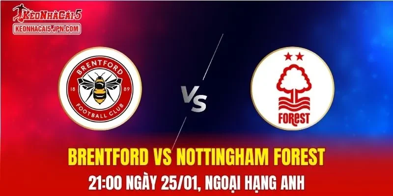 Nhận Định, Soi Kèo Bóng Đá Brentford vs Nottingham Forest 21:00 Ngày 25/01: Chủ Nhà Lợi Thế