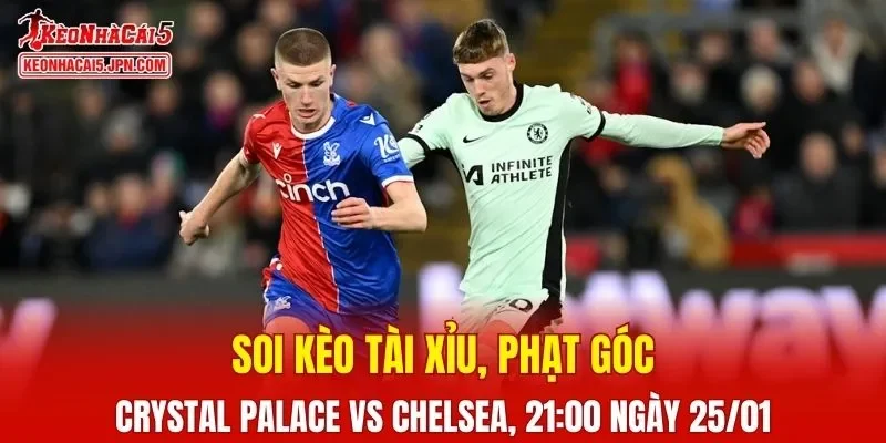 Trận đấu giữa Crystal Palace và Chelsea đang hứa hẹn sẽ bùng nổ 