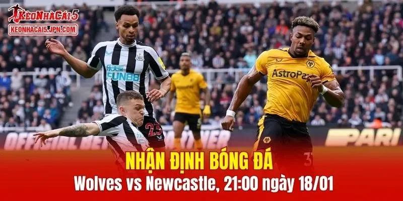 Trận đấu giữa Wolves vs Newcastle hứa hẹn sẽ rất hấp dẫn
