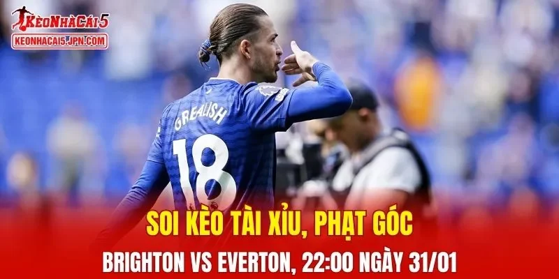 Trận đấu giữa Brighton và Everton đang hứa hẹn sẽ bùng nổ 