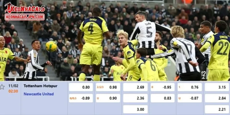 Tỷ lệ kèo chi tiết của của trận Tottenham vs Newcastle