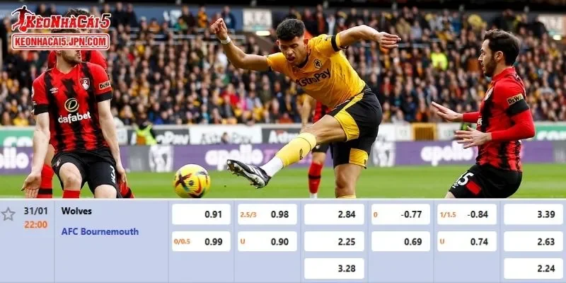 Tỷ lệ kèo chi tiết của của trận Wolves vs Bournemouth