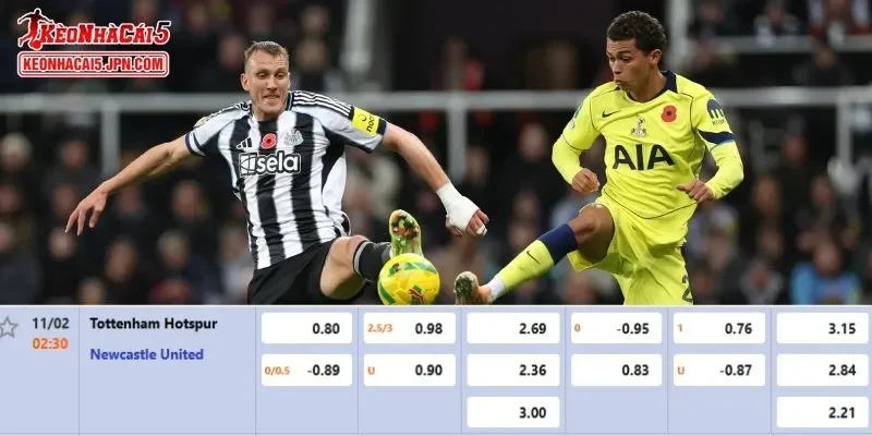 Tỷ lệ kèo chi tiết nhất cho trận đấu giữa Tottenham vs Newcastle