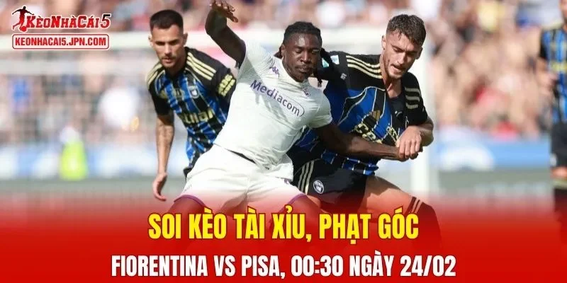 Cuộc đối đầu Fiorentina vs Pisa sắp tới hứa hẹn sẽ vô cùng kịch tính