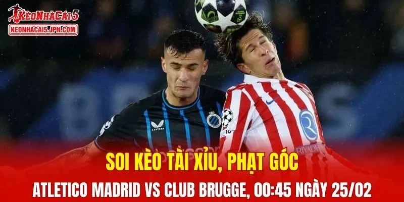 Trận đấu giữa Atletico Madrid và Club Brugge đang hứa hẹn sẽ bùng nổ