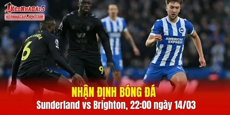 Trận đấu giữa Sunderland vs Brighton hứa hẹn sẽ rất hấp dẫn