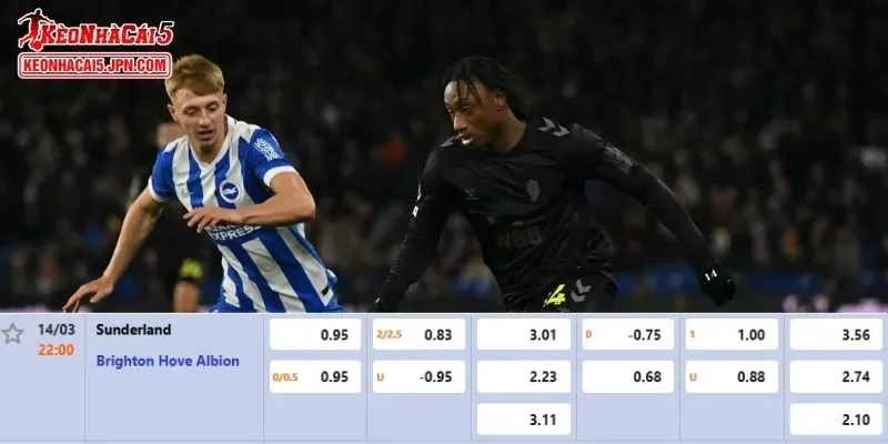 Tỷ lệ kèo chi tiết của của trận Sunderland vs Brighton